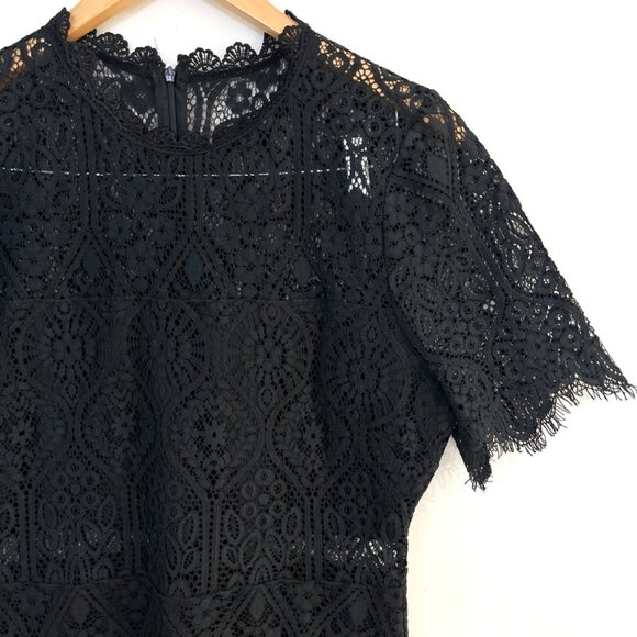 Lulus Remarkable Sheer Lace Short Sleeve Knee Length Dress Womens Size XL - Picture 4 of 12